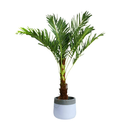 Jumbo Faux Artificial Phoenix Palm Tropical Tree Plant Green Home Office Decor