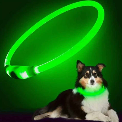 Light Up LED Dog Collar USB Rechargeable Flashing Safety Collar, Adjustable Size