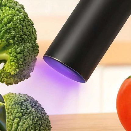 Portable UV Black Light Flashlight for Vegetables Detection