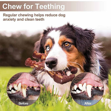 6.7 Inch Ultra Tough Indestructible Chew Toy for Aggressive Chewing Dogs