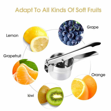 Manual Stainless Steel Juicer Vegetable Press for Potato, Lemon, Garlic Color Box Packaging