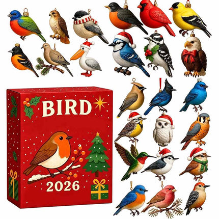24‑Day Advent Calendar Blind Box, 2D Flat Acrylic Hanging Ornaments, Sea‑Glass Style Gnome and Birds Christmas Gift