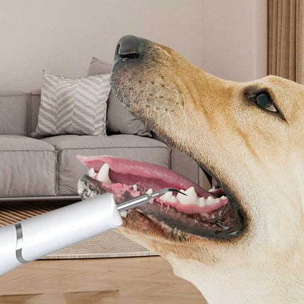Ultrasonic Dog Teeth Cleaning Kit for Pet Teeth Cleaning, Dog Plaque Remover