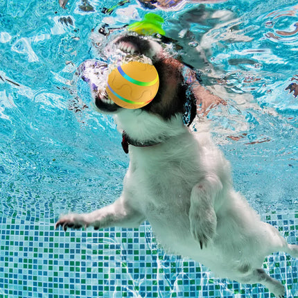 Pet Dog Interactive Play LED Toy Ball Indoor Outdoor Puppy Training Moving Roll