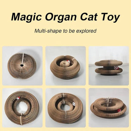 Transformable Kitty Kurlz Cat Toy, Wear-Resistant Ball & Scratch Pad