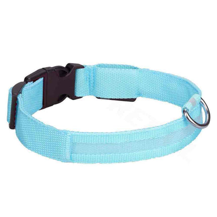 LED Light Up Dog Collar, Adjustable USB Rechargeable Luminous Pet Safety Collar