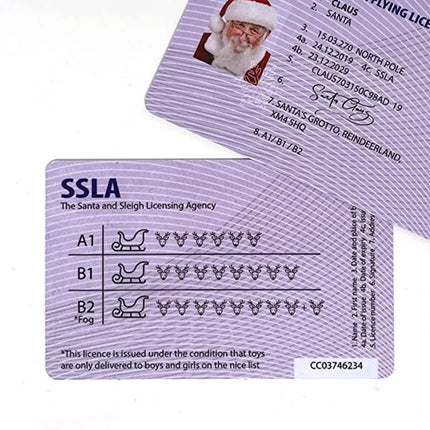 10Pcs Santa Claus Sleigh-Themed International Driving Licence Christmas Gifts