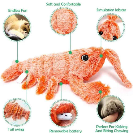 Rechargeable Moving Pet Toy Interactive Play Toy for Cat Dog