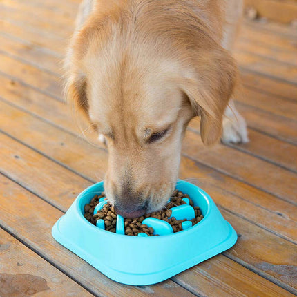 Healthy Dog Slow Eating Bowl Food Feeder Feed Large Bloat Stop Pet Cat Large