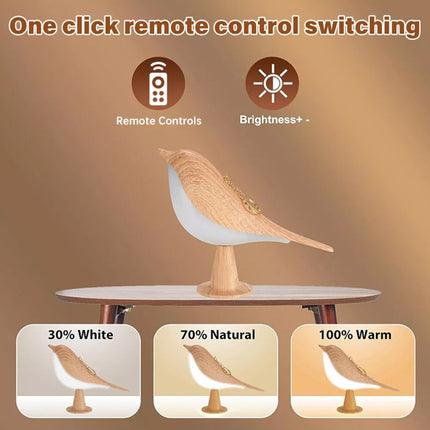 2 in 1 Bird Diffuser Lamp Cordless USB LED Table Touch Sensor Bedside Desk Light