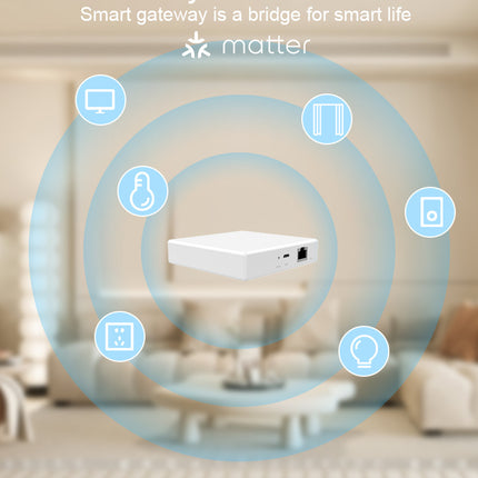 Smart Home Matter Gateway, Wired Multi-Mode IoT Hub