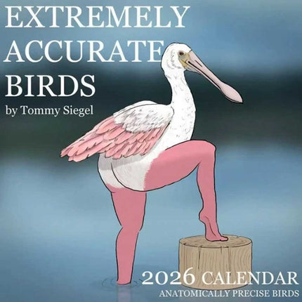 2026 Bird Calendar Extremely Accurate Date & Stunning Avian Illustrations