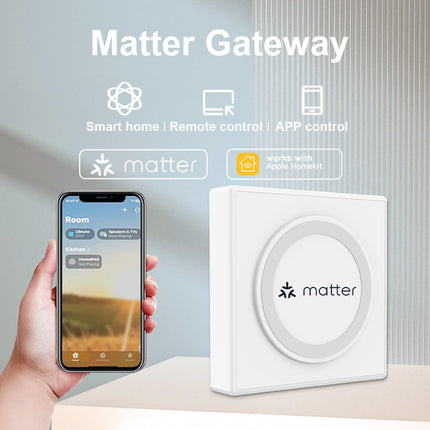 Smart Home Matter Gateway, Wired Multi-Mode IoT Hub