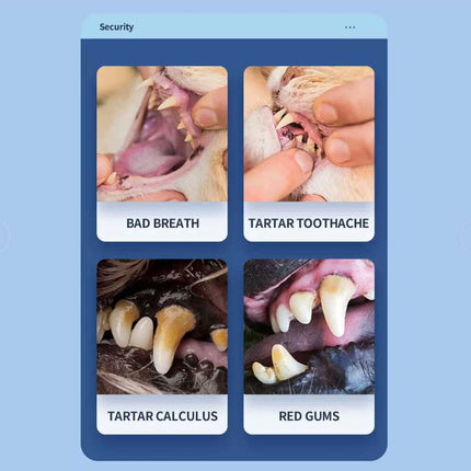 Ultrasonic Dog Teeth Cleaning Kit for Pet Teeth Cleaning, Dog Plaque Remover