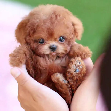 My Realistic Robot Puppy Electronic Interactive Pet Dog Cute Gifts for Girl Kids