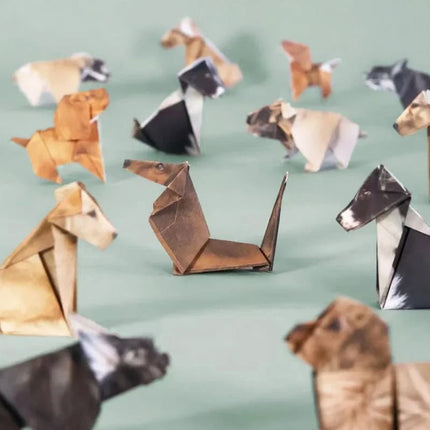 DIY Origami Animals Kit - 50 Sheets Paper to Fold Cat & Dog Figures