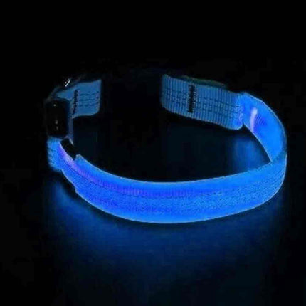 LED Light Up Dog Collar, Adjustable USB Rechargeable Luminous Pet Safety Collar