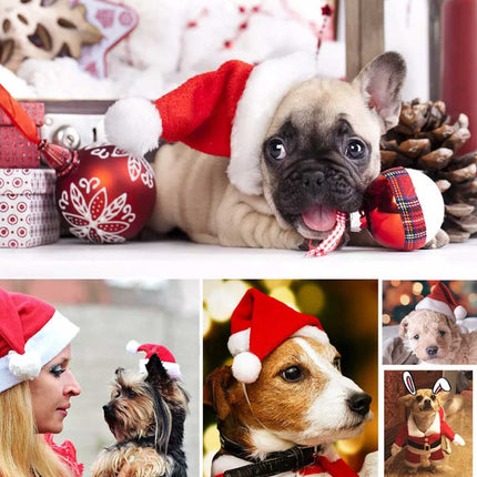 Christmas Santa Claus Pet Cat Dog Clothes Hat Costume Coat Decoration Xmas