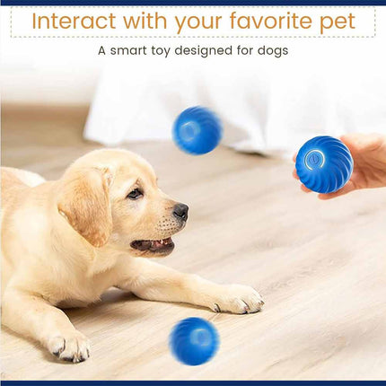 Automatic Rolling Ball Smart Cat Dog Toy Electric Pet Self-moving Kitten Game