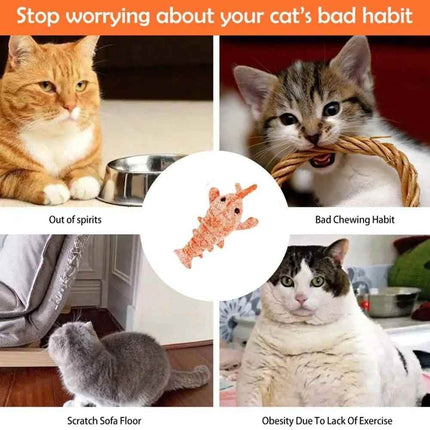 Rechargeable Moving Pet Toy Interactive Play Toy for Cat Dog