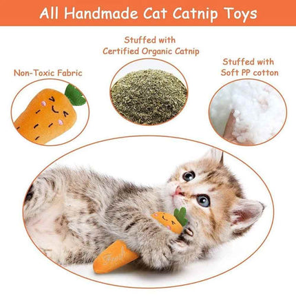 5Pcs Catnip Cat Toys Soft Plush Teeth Grinding Interactive Sound Play Toys