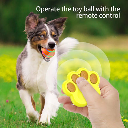 Pet Dog Interactive Play LED Toy Ball Indoor Outdoor Puppy Training Moving Roll