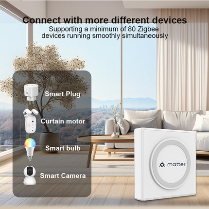 Smart Home Matter Gateway, Wired Multi-Mode IoT Hub