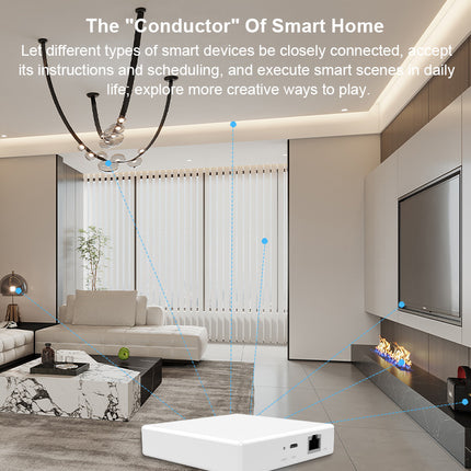 Smart Home Matter Gateway, Wired Multi-Mode IoT Hub