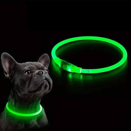 Light Up LED Dog Collar USB Rechargeable Flashing Safety Collar, Adjustable Size