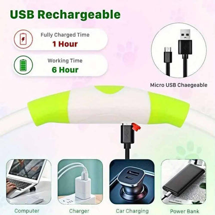 Light Up LED Dog Collar USB Rechargeable Flashing Safety Collar, Adjustable Size