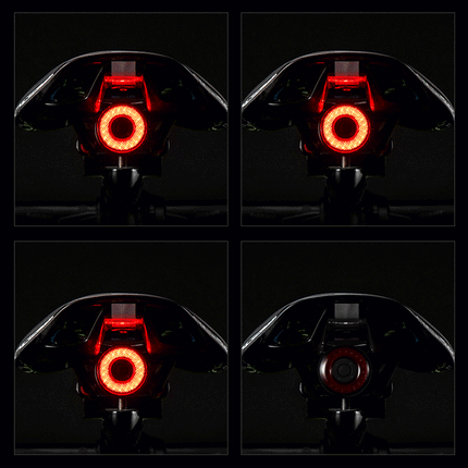 ROCKBROS Bicycle Smart Auto Brake Sensing LED Taillight Cycling IPx6 Waterproof