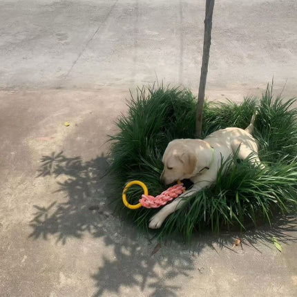 Durable Cotton Rope Dog Tug Toy with Rubber Ring, for Large Dogs