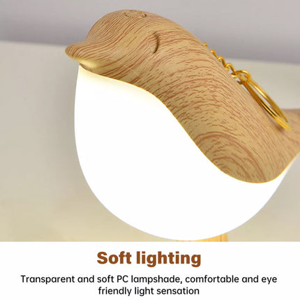 2 in 1 Bird Diffuser Lamp Cordless USB LED Table Touch Sensor Bedside Desk Light