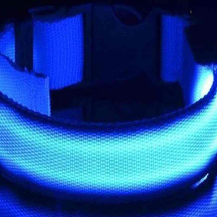 LED Light Up Dog Collar, Adjustable USB Rechargeable Luminous Pet Safety Collar