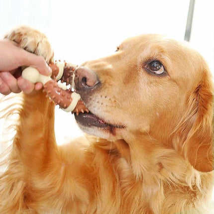 Durable Indestructible Dog Chew Bone Toy, Tough Chew Stick for Aggressive Chewers