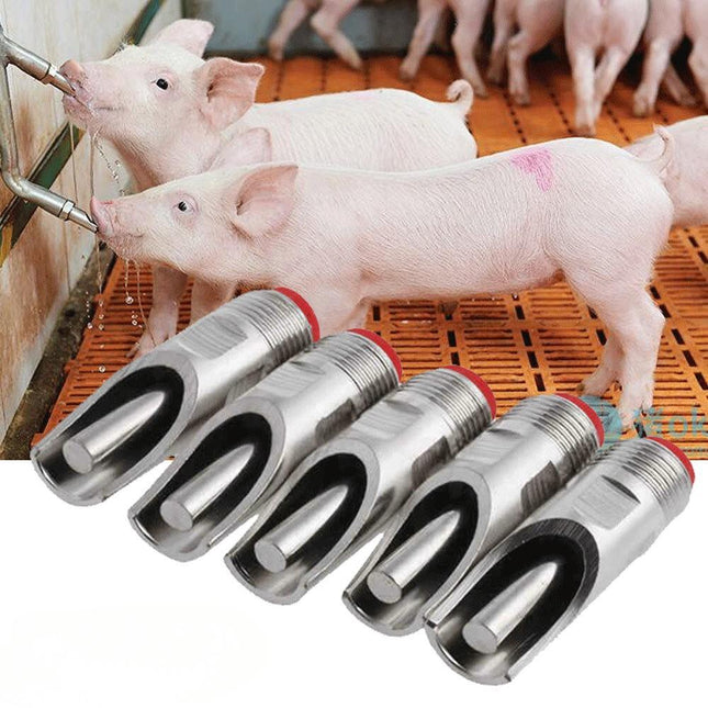 5x Automat Animal Pet Pig Drinking Water Stainless Steel Nipple Drinker Tool