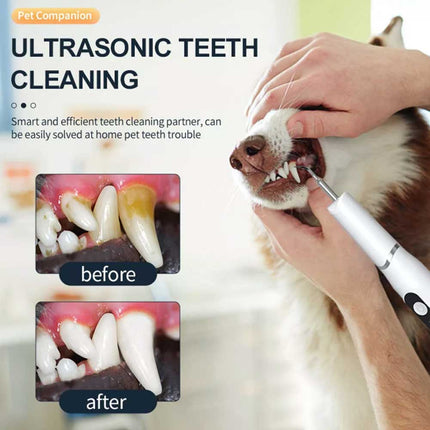 Ultrasonic Dog Teeth Cleaning Kit for Pet Teeth Cleaning, Dog Plaque Remover