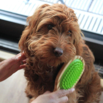 Double Sided Bamboo Dog Brush with Silicone Massager for Dog Grooming