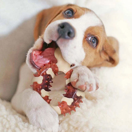 Durable Indestructible Dog Chew Bone Toy, Tough Chew Stick for Aggressive Chewers