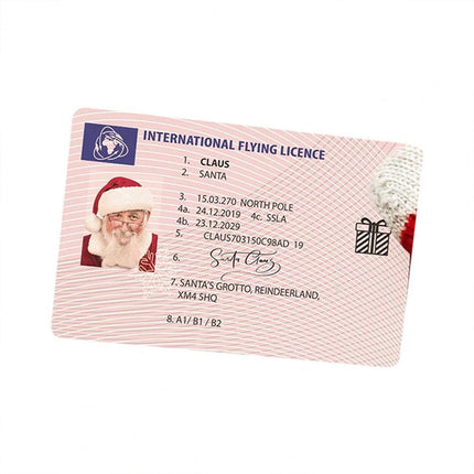 10Pcs Santa Claus Sleigh-Themed International Driving Licence Christmas Gifts