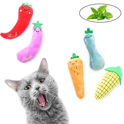 5Pcs Catnip Cat Toys Soft Plush Teeth Grinding Interactive Sound Play Toys