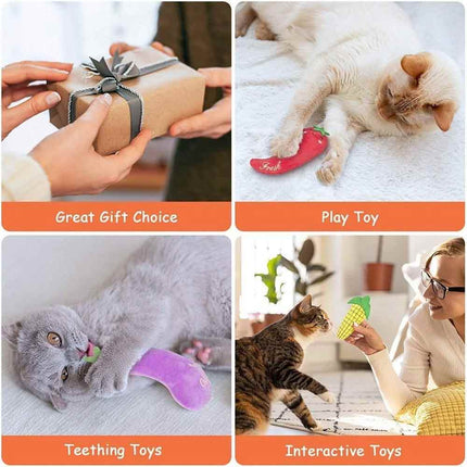 5Pcs Catnip Cat Toys Soft Plush Teeth Grinding Interactive Sound Play Toys