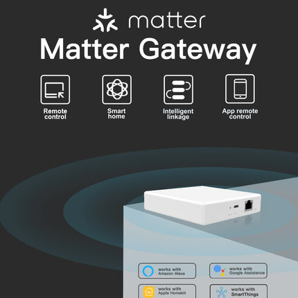 Smart Home Matter Gateway, Wired Multi-Mode IoT Hub