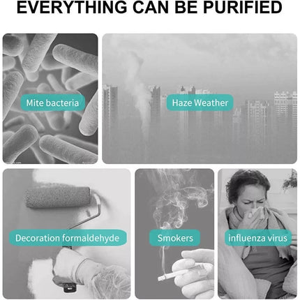 Medical Grade HEPA Air Purifier Large Room Smoke & Pet Odor Removal