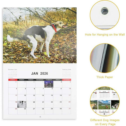 2026 Funny Dog Pooping Wall Calendar, Hilarious Canine Pooping Scenes in Beautiful Places