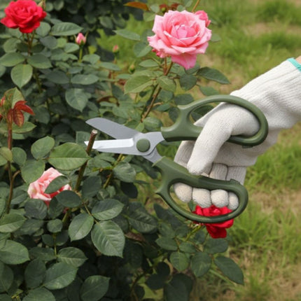 Stainless Steel Floral Pruning Shears, Garden Scissors for Potted Plants & Flowers
