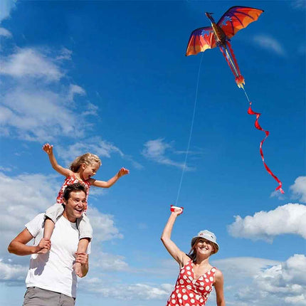 Large Dragon Kite with 1.6m Tail, Easy Fly Outdoor Toy for All Ages