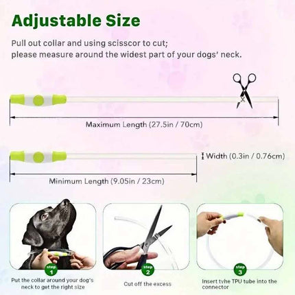 Light Up LED Dog Collar USB Rechargeable Flashing Safety Collar, Adjustable Size