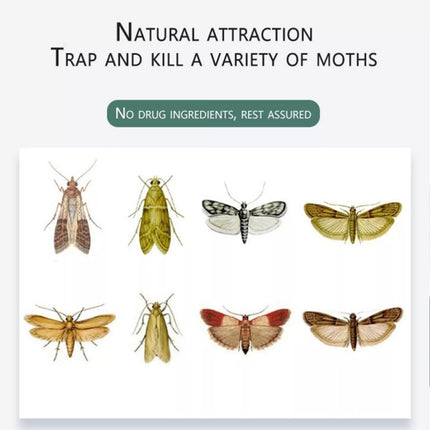 5pcs Attractant Moth Trap Pantry Kitchen Anti Moth Insect Killer Moth Trap