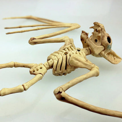 Animal Skeleton Decorations Rat Bat Realistic Bones Scary Halloween Party Props